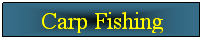 Casella di testo: Carp Fishing

