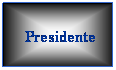 Casella di testo: &nbsp;
&nbsp;Presidente
