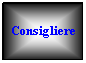 Casella di testo: Consigliere
