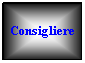 Casella di testo: &nbsp;
Consigliere

