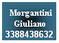 Casella di testo: &nbsp;Morgantini Giuliano
3388438632
