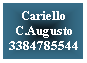 Casella di testo: Cariello
C.Augusto
3384785544
&nbsp;
&nbsp;
