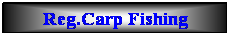 Casella di testo: Reg.Carp Fishing
