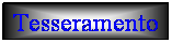 Casella di testo: Societ� Affiliate AAcccccccAAAffiliate
